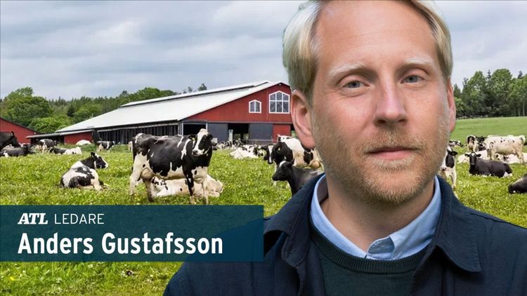 ”Tänk om betalningsviljan vore lika stor som upprördheten”