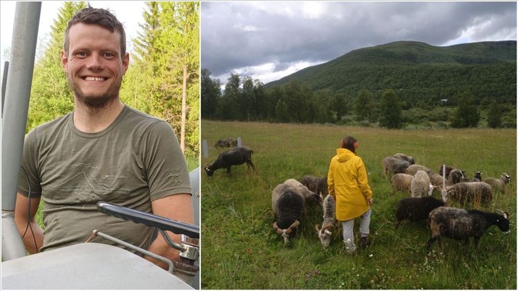 Han vill kunna slakta hemma på gården: ”Stora fördelar”
