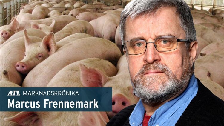 Varför sviktar grisproduktionen i norr?