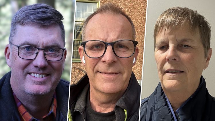 Nu kommer miljardstödet till växtodlarna