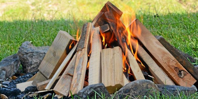 Extra kontroller av bärplockarläger efter eldningsförbudet