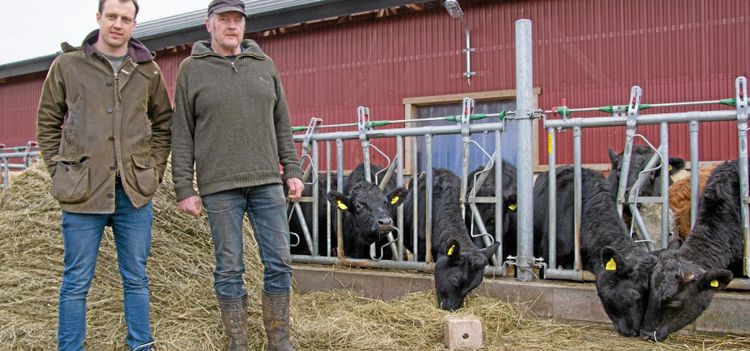 Het efterfrågan på deras lyxkött