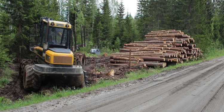 Riskerna i skogen kartläggs