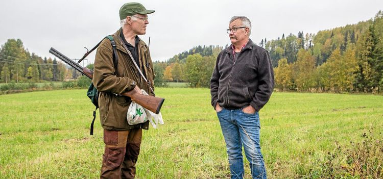 Dyr nota för kronhjortarnas festmåltid