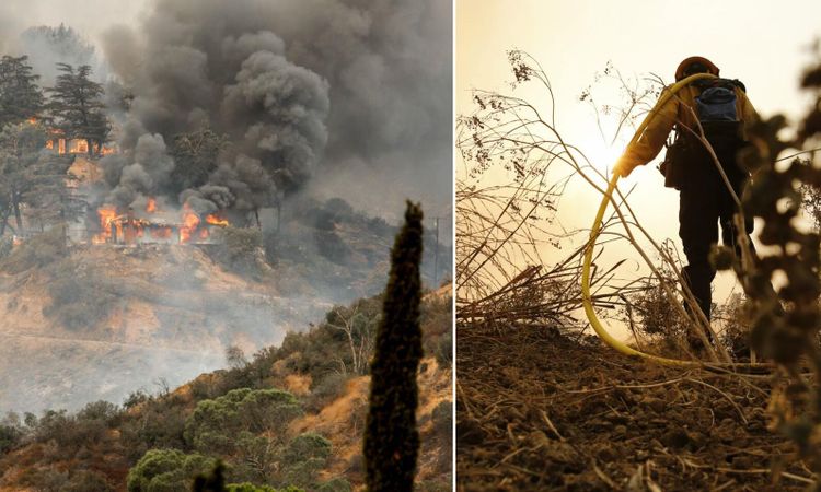 Närmare 90 000 hektar nedbrunnet i Kalifornien