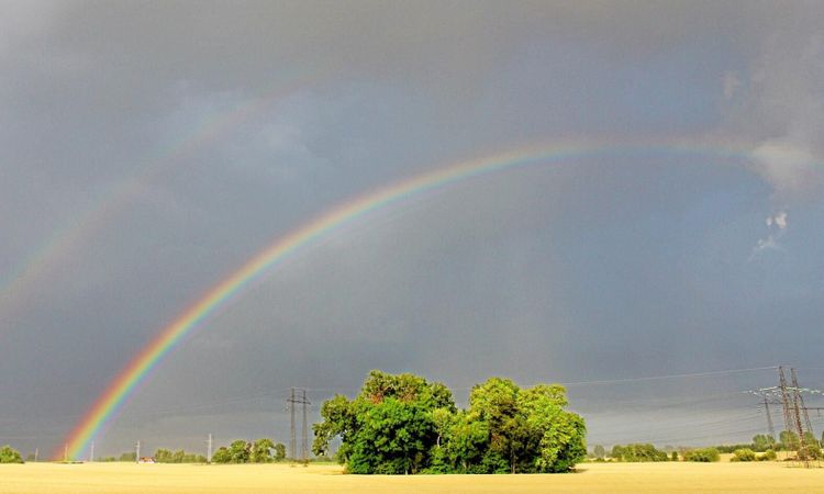 Värmen dämpas och regn väntas
