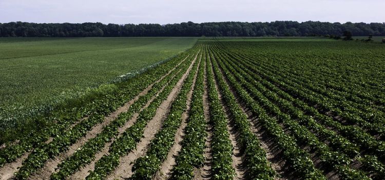 Odlare tvingades göra om miljonrättegång - och vann på nytt