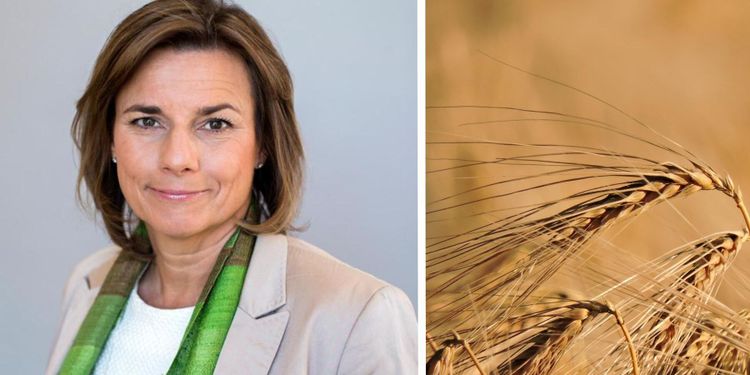 MP vill höja självförsörjningsgraden till Finlands nivå