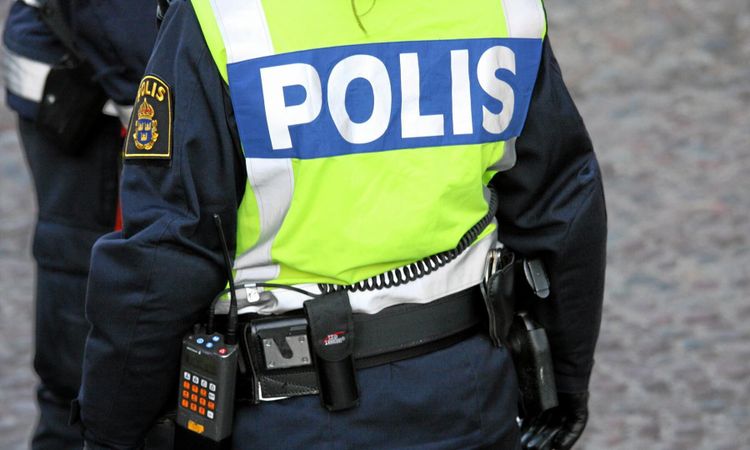 Åtalas för försök att köra på aktivister