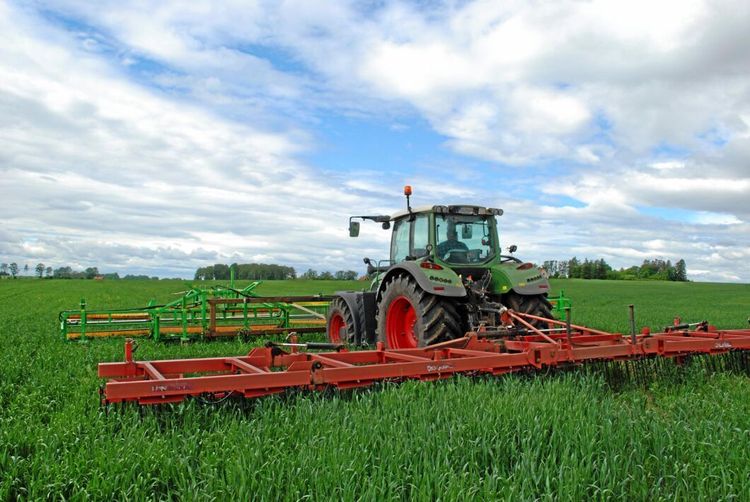 I 5,5 kilometer i timmen bekämpas tistlarna