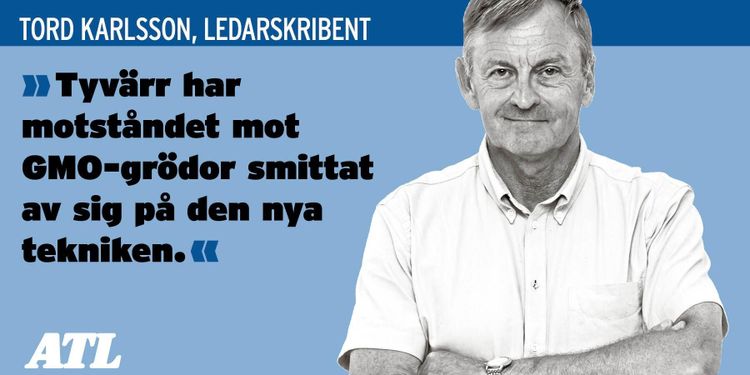 Crispr nödvändig för vår konkurrenskraft