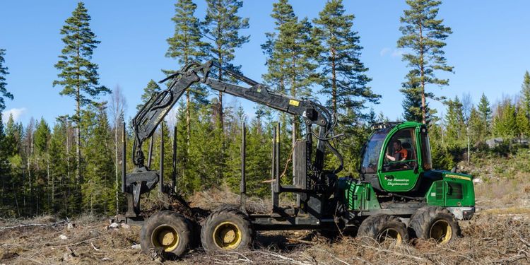 Antalet nyregistrerade skotare högsta på 15 år