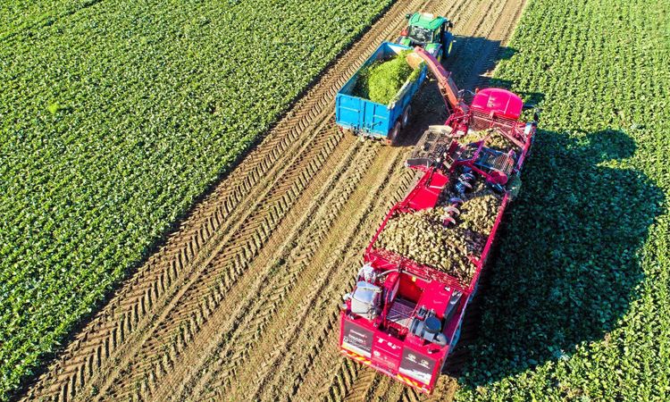 ATL TV: Här blir betblasten till foder