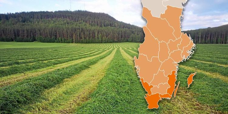 Karta: Så går det med vallskörden i landet