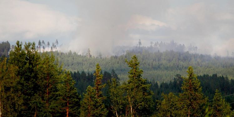 Brandfacket: Det saknas 2 800 brandmän