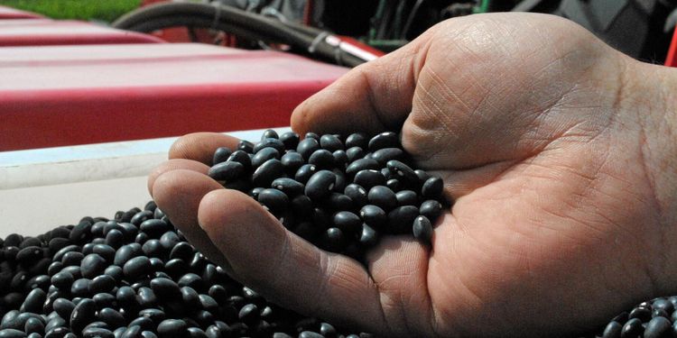 De här svenska livsmedlen skyddas i nya avtalet