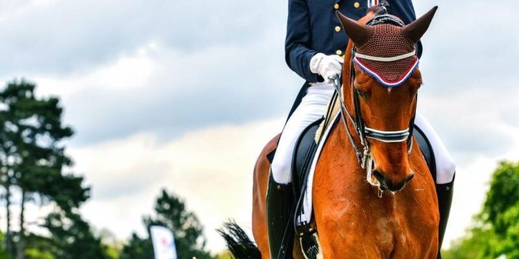 Kronofogden tvingas backa