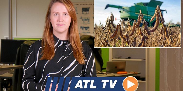 ATL TV: Andra året med egen soja
