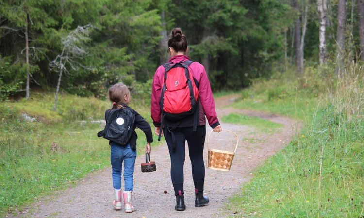 Ny studie visar skogens sociala värden