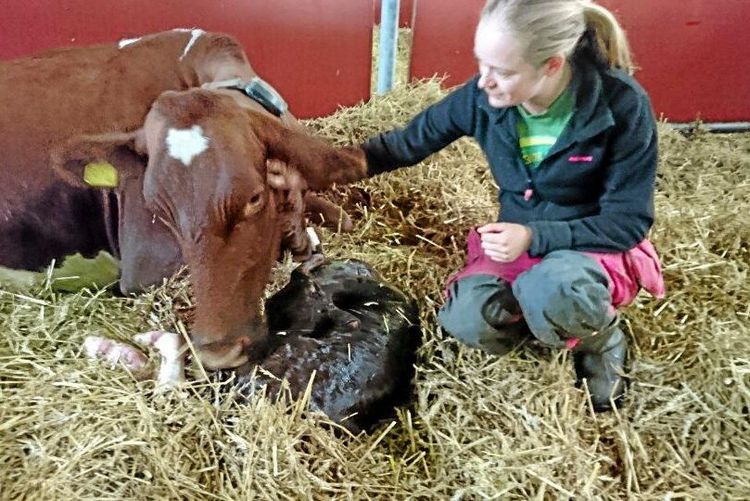 Lycklig nedkomst för återfunnen rymling