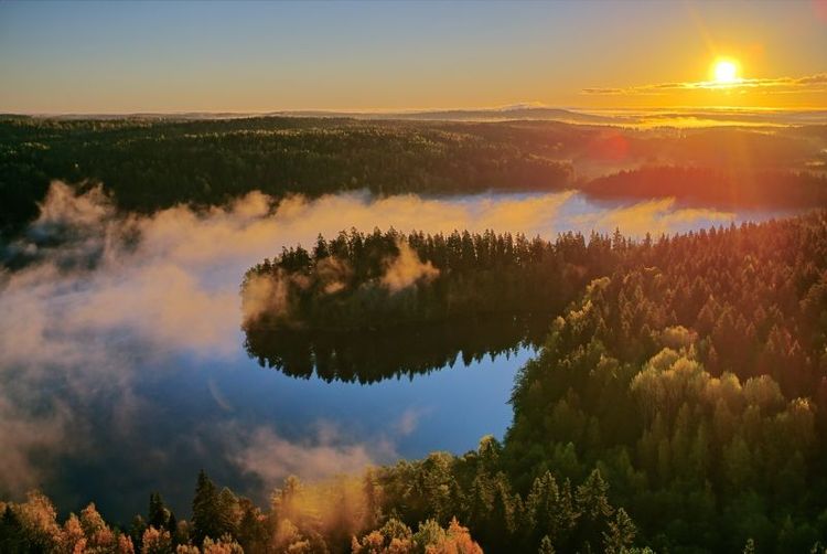 Ingen optimal mångfald med reservat