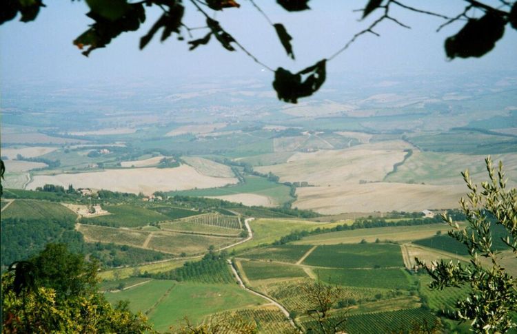 Strängare regler för italienska ekoodlare