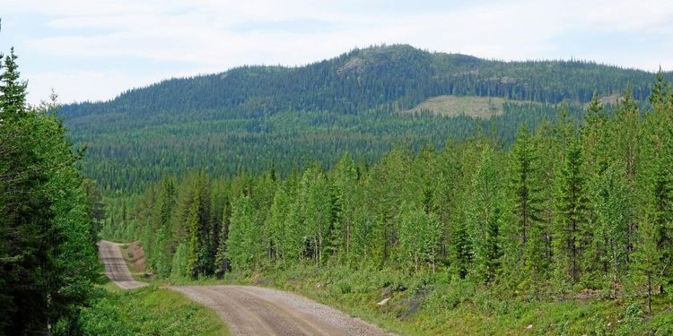 Jätteavsättningen kostar 20 miljarder