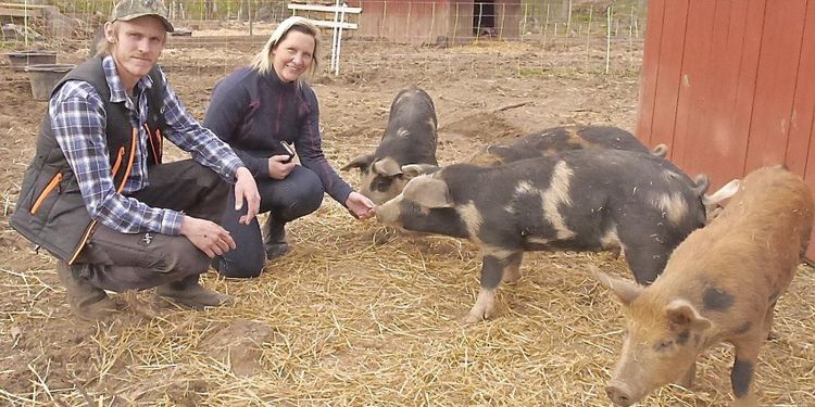 Nya slakteriet ska få växa långsamt