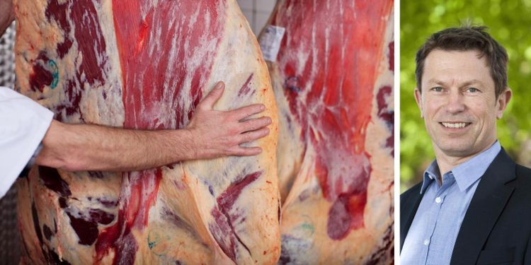 Svenska köttföretagen vill se hårdare påföljder