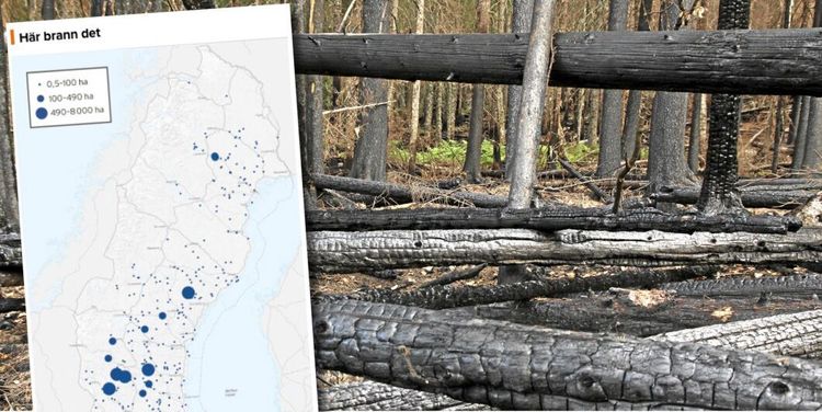 Så ska bönder förhindra nya katastrofer