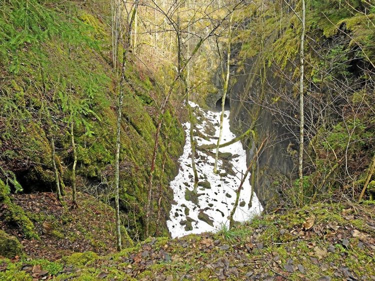 Köldhål blir hotspots för hotade arter