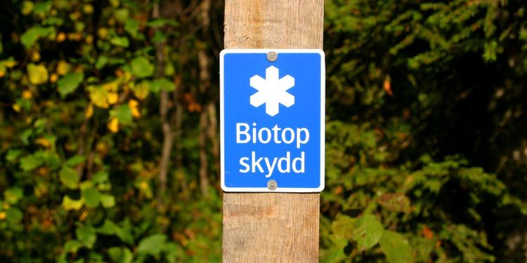 Varnar för oklara kunskapskrav i skogen