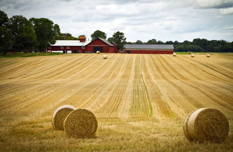 Replik: Elda inte upp jordens resurser