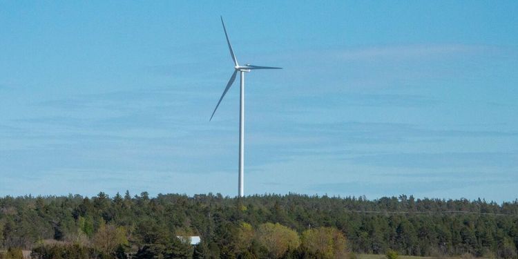 Markägarna vinnare på modern vindkraft