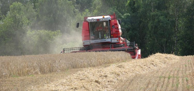 Andra vägar än arv till den egna gården