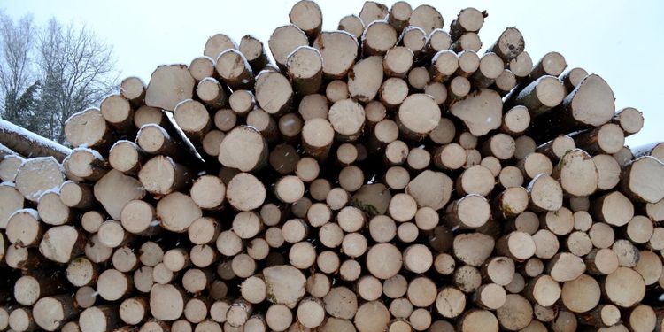 Ny referensnivå dröjer