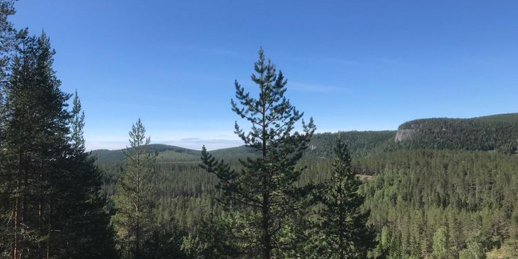 Europas största vill bli ännu större