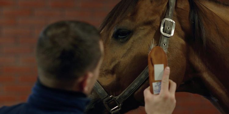 Miljoner till forskning om arbetsmiljö