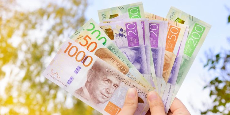 Beredskapslager bland förslag i budgetmotionerna