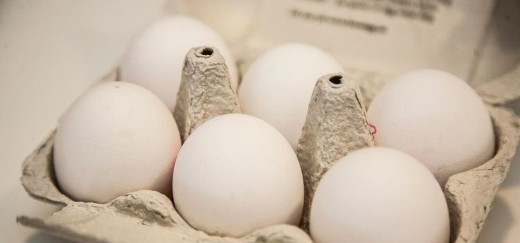 Så agerar Svenska Ägg efter djurrättsfilmen