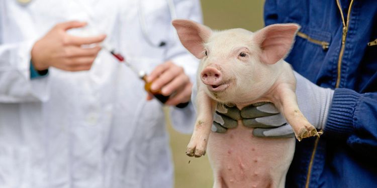 Kampanj mot antibiotika gav effekt i Frankrike