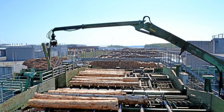 Holmen säljer barkborregran till USA