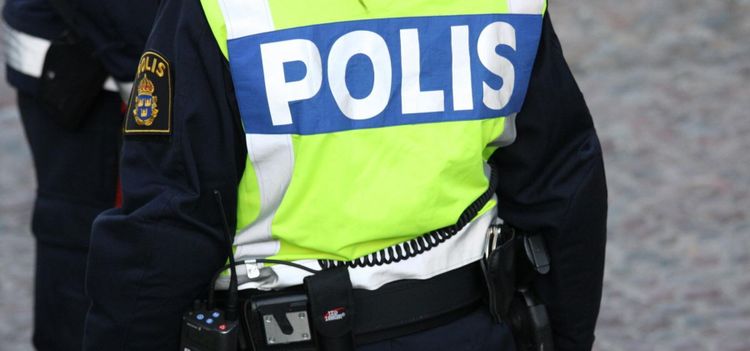 Aktivister fastkedjade i protest mot slakteri