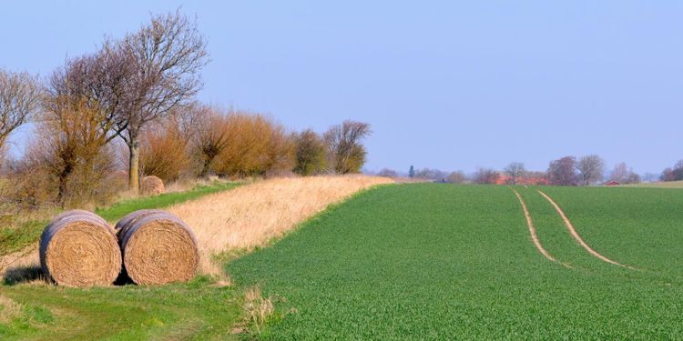 ”Låt inte Jordbruksverkets statistik bestämma arrendepriser”