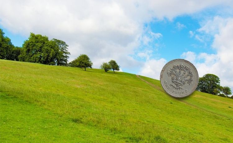 Pundets värde har fallit efter Brexit, vilket får färre att jobba i Storbritanniens gröna näringar.