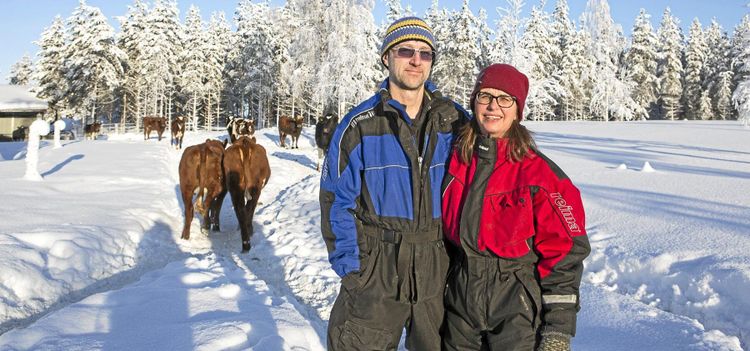 Mathantverket blev lösningen