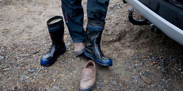 Pressad sommar för veterinärerna