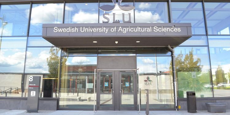 SLU i samarbete med Stora Enso