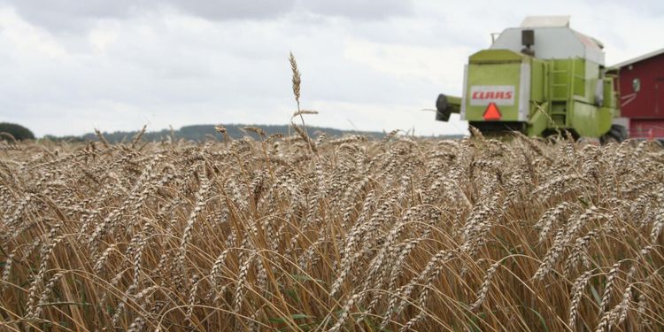 Så tryggas försörjningen av livsmedel i kristid