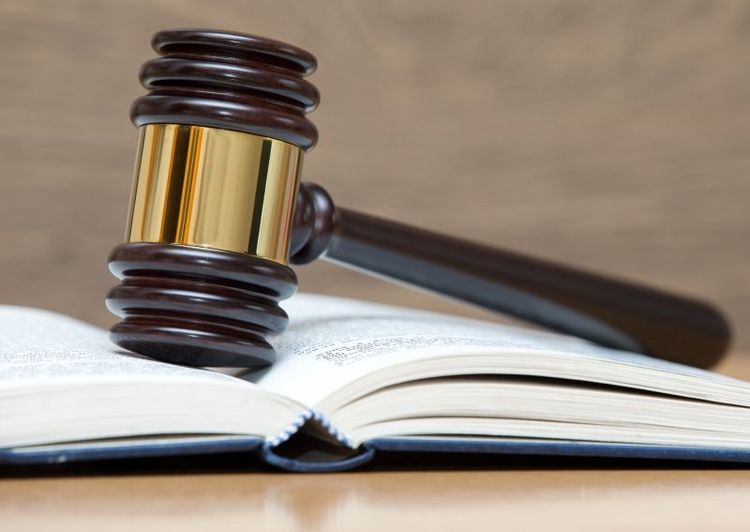 Sänkt straff för djurplågeri